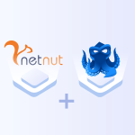 How to Add NetNut Proxies in Octo Browser
